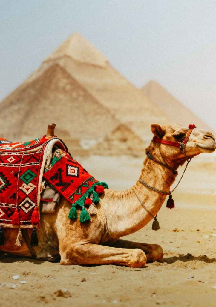 Viajes organizados desde Alicante a Egipto