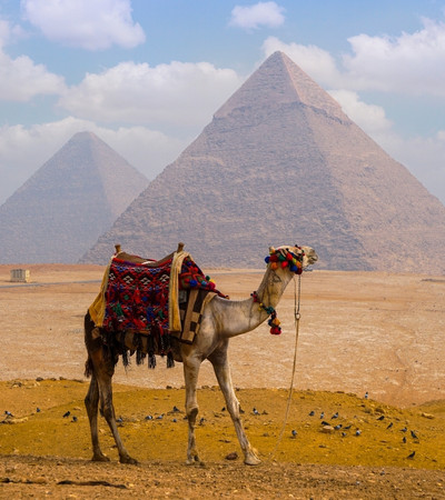 Viajes Viajes organizados desde Alicante a Egipto, Grupo Mel
